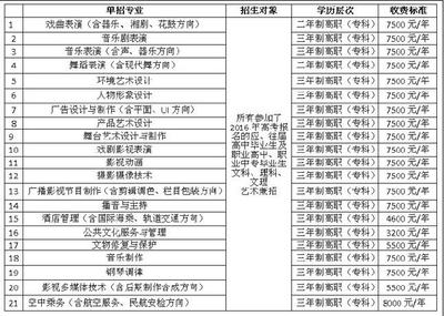 2016年湖南艺术职业学院艺术类招生简章_ms211中国美术高考网